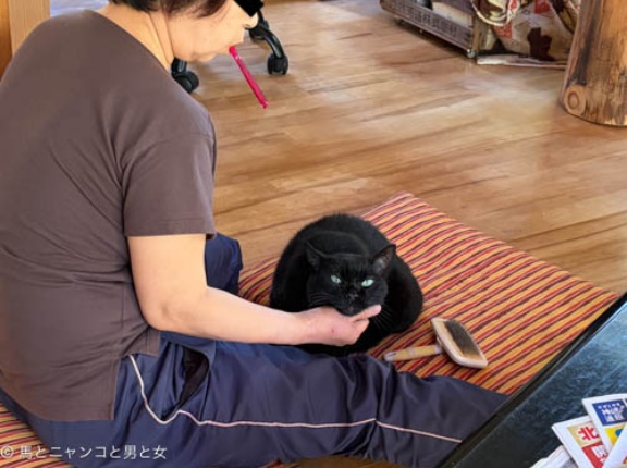 これから ずっと