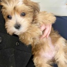 マルキー大好き記念日