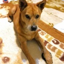 今日もあまり・・・