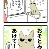 姉猫の理不尽日記：真夏の攻防