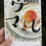 せろふえ