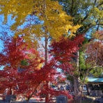 サイキ整備Service