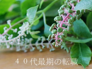 ４０代最後の転職