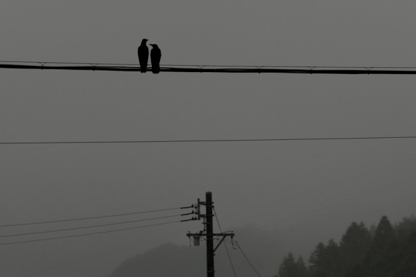 ﾟ毒ﾟ Lt しんどい 13年10月