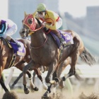 『【大井・京浜盃結果】チサットが差し切って重賞初V！　クラシックへ名乗り』の画像