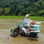 嗚呼、バンコク我楽苦多暮らし