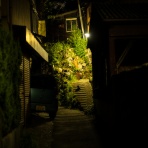 （ ﾟ毒ﾟ）< しんどい。