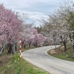 秘湯の宿・阿部旅館だんす！