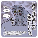 過激なハニャーム