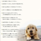 【悲報】日本人、「十戒」を一つも言えない