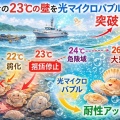 「光マイクロバブル文明史」考（第6150回記念）（28）陸奥湾ホタテ問題（29）
