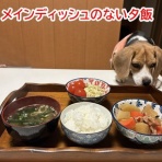 ガオだらけな日々　