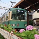 『撮り鉄ダイジェスト　江ノ電と紫陽花2026』の画像