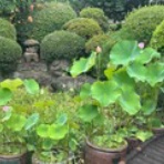 ニッキのＳｍａｒｔなＢｌｏｇ