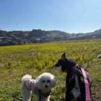 ぽーぽーブログ2