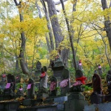 『札幌円山の紅葉』の画像