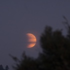 『投稿：11/19の部分月食　2021/11/21』の画像