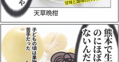 熊本出身なのに知らなかった、名物の良さ