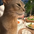 自家製トマトソースのソーセージパスタと、チキンのグリルとかの夜ごはん