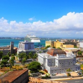 プエルトリコ代表、WBC出場の行方は？保険問題を乗り越え大会参加へ