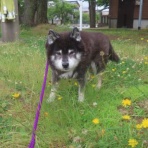 churahamaのブログ