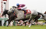【競馬】ヴィクトリアマイル　6枠11番に入ったスマートレイアーはどう乗る？