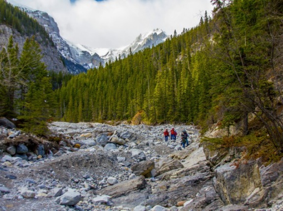 登山有識者「遭難したら下るな、頂上を目指せ」ワイ「頂上着いたらどうするの？」