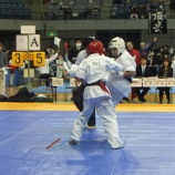 ��WKF�˿��������٤β���