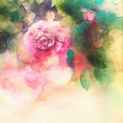 透明水彩画原画蔓薔薇つるバラ 透明水彩画原画蔓薔薇つるバラ - メルカリ
