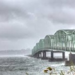 佐村河内と佐野と小保方が同時に川で溺れてたら