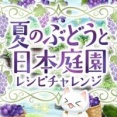 夏のぶどうと日本庭園レシピチャレンジ