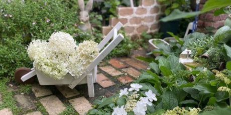 のばらのガーデニングブログ Hana And Rose Garden アジサイ Powered By ライブドアブログ