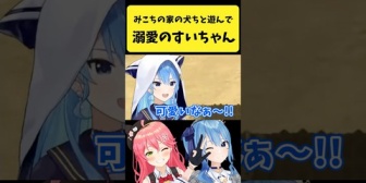 【ホロライブ】みこちの家のいぬちと遊んで溺愛するすいちゃん