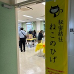 猫とお酒と日々のこと