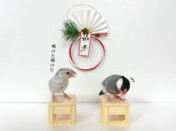 ２０２６年あけましておめでとうございます