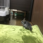 むぎと仲間と看護学生