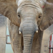 激怒プンプン丸な姉妹