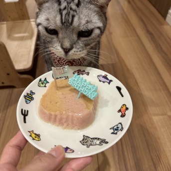 ぱずたん、15歳になりました。