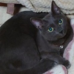 酒とロックな日常