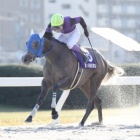 『【名古屋・若草賞結果】パールプレミアが競り合い制し重賞初V』の画像