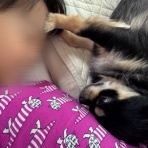 日々のくらし手帖