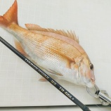 『北九州オフショア釣行』の画像