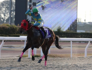 ミモザノキセツ（25/12/30・第29回 ライデンリーダー記念・笠松競馬場）