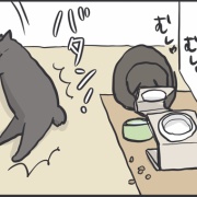 省エネすぎる猫