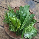 ず～～っと田舎暮らし