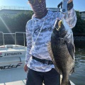 ボトムチニング始めました🎣
