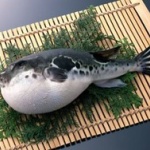 人類で最初にこれ食べた奴頭おかしいって思う食べ物