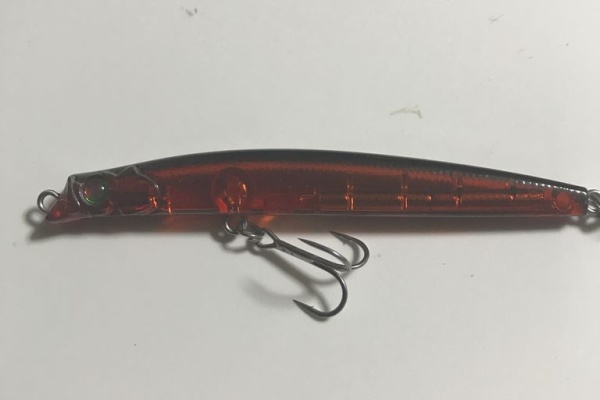 特攻隊長さんの釣行記 19年02月