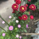 昔の写真♪