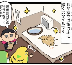 薬水で水浴び たのしいね🏊